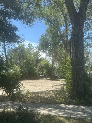 Picture 11