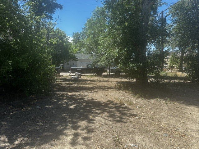 Picture 10
