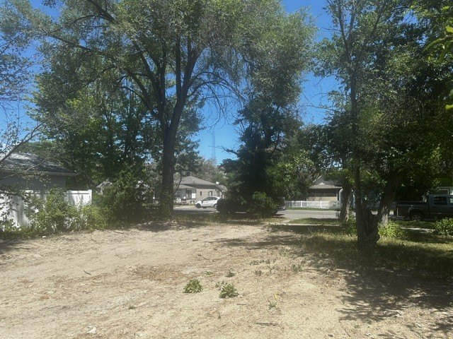 Picture 6