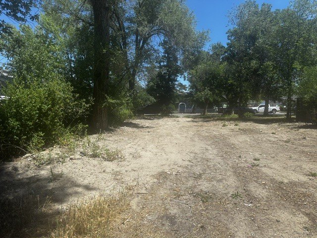 Picture 5