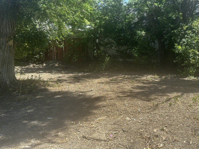 Picture 8
