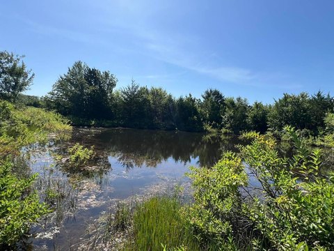Waterfront Homesite with Private Pond