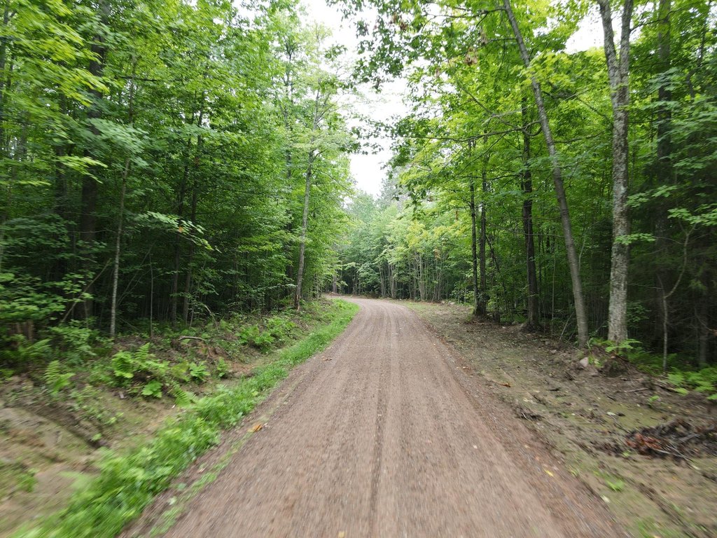 Picture 19