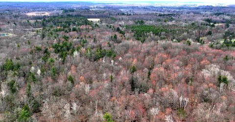 67 Acres with Pine River Frontage