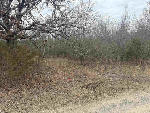 Spacious Lot in Conway, AR