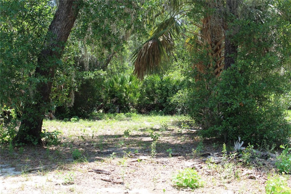 Picture 17