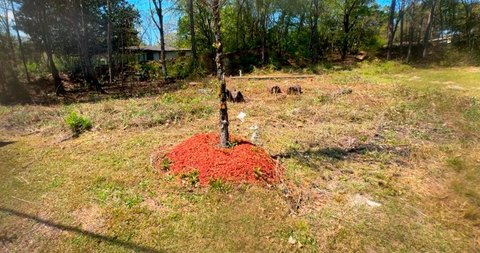 Prime Commercial Land Opportunity