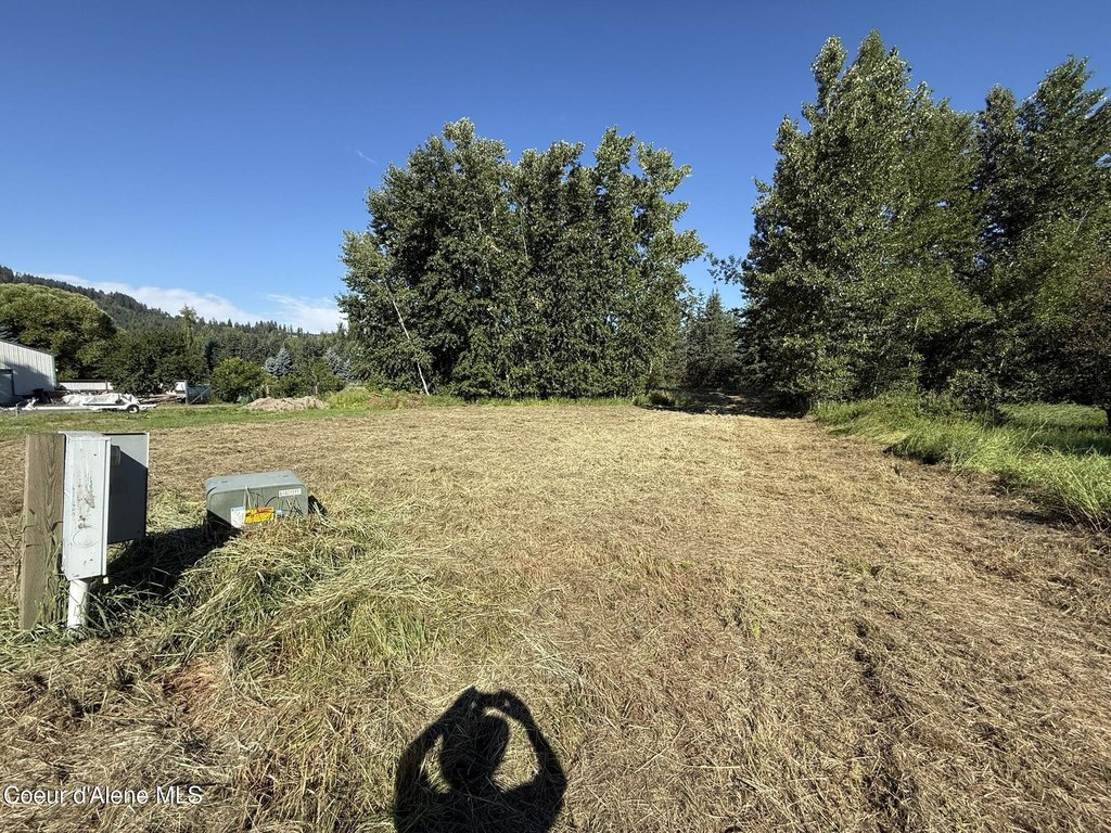 Picture 20