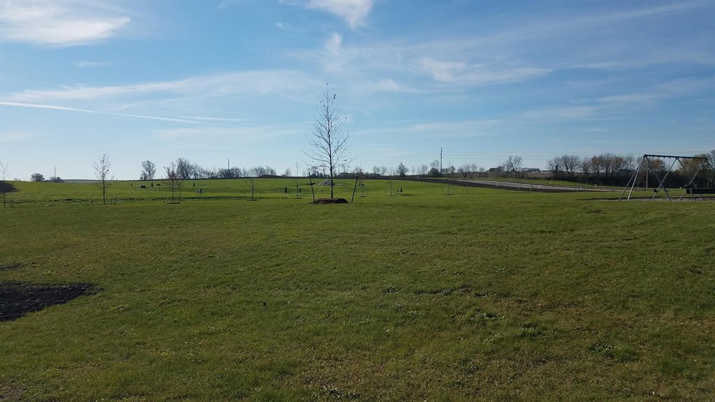 Picture 15