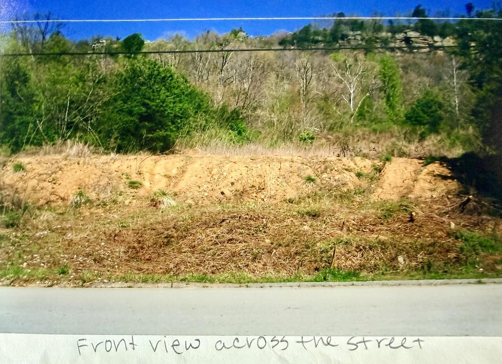 Picture 6