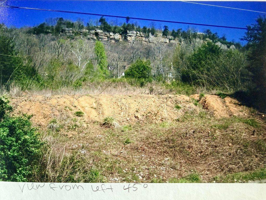 Picture 7