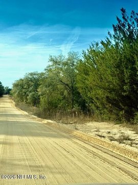Wooded Lot in Interlachen Gardens