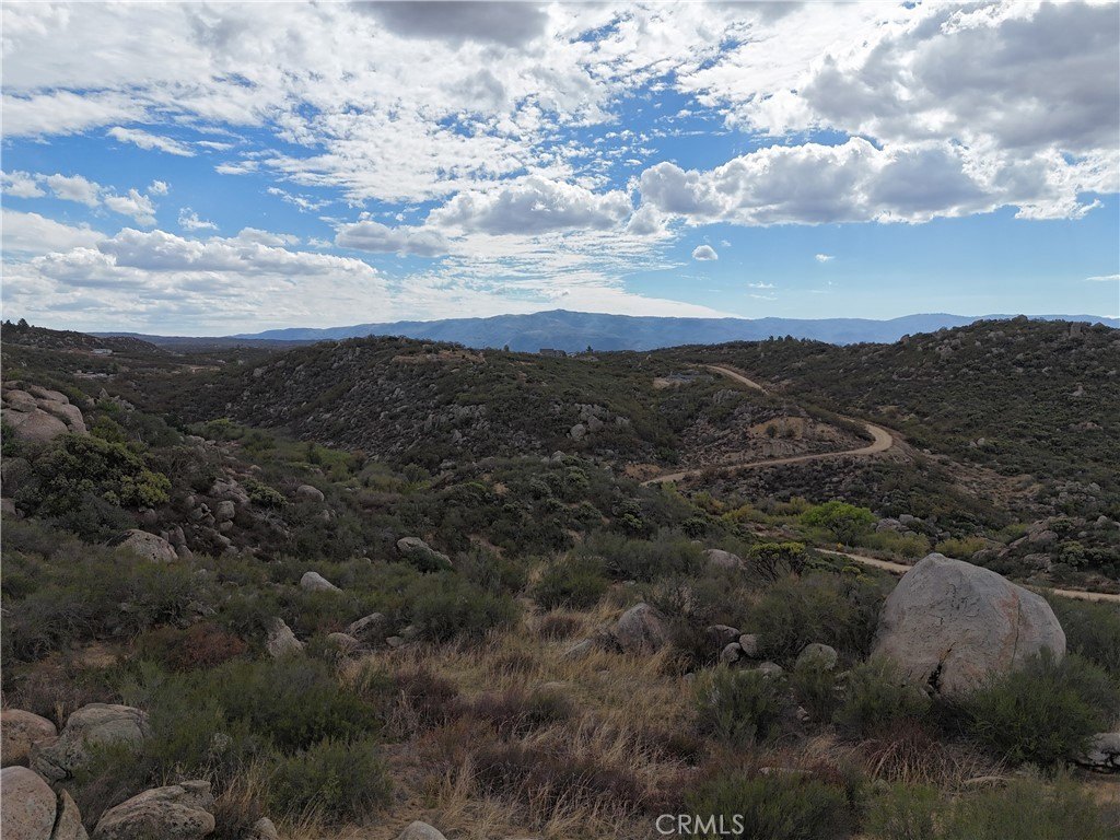 Picture 43