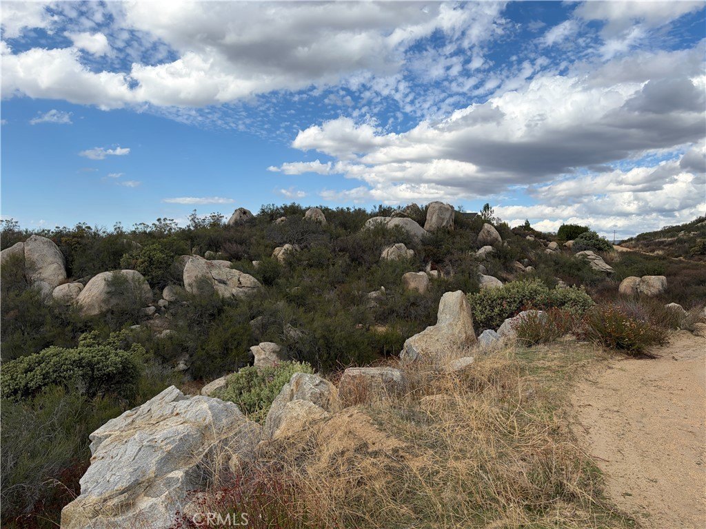 Picture 14