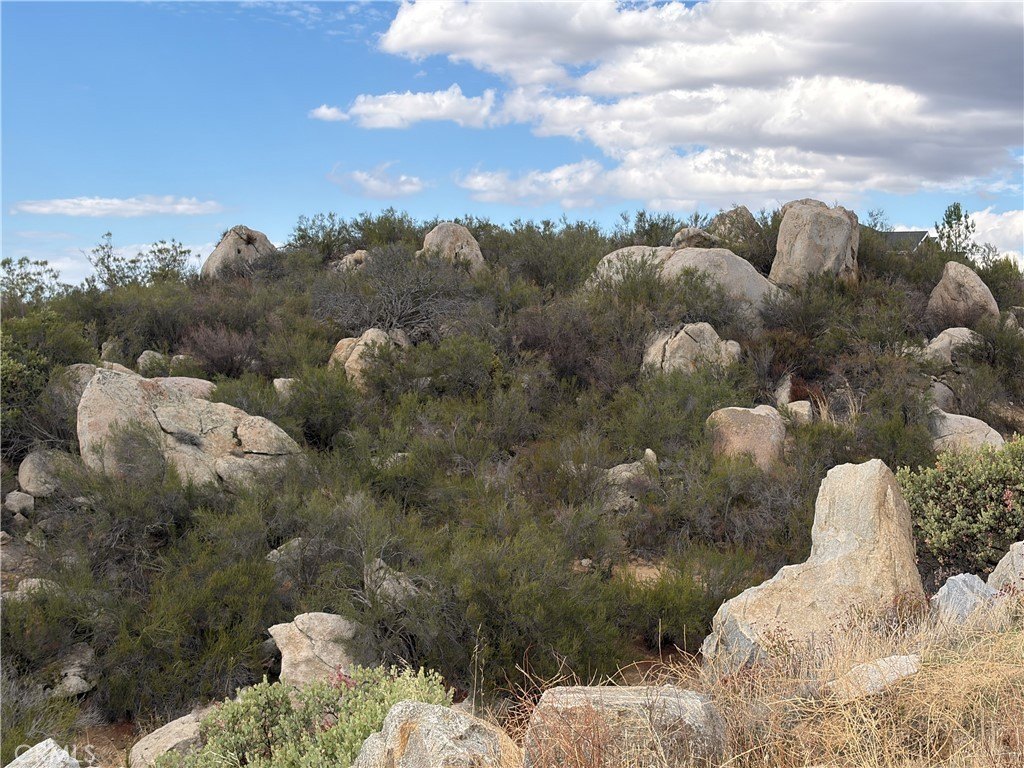 Picture 15