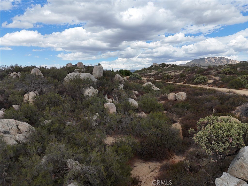 Picture 45