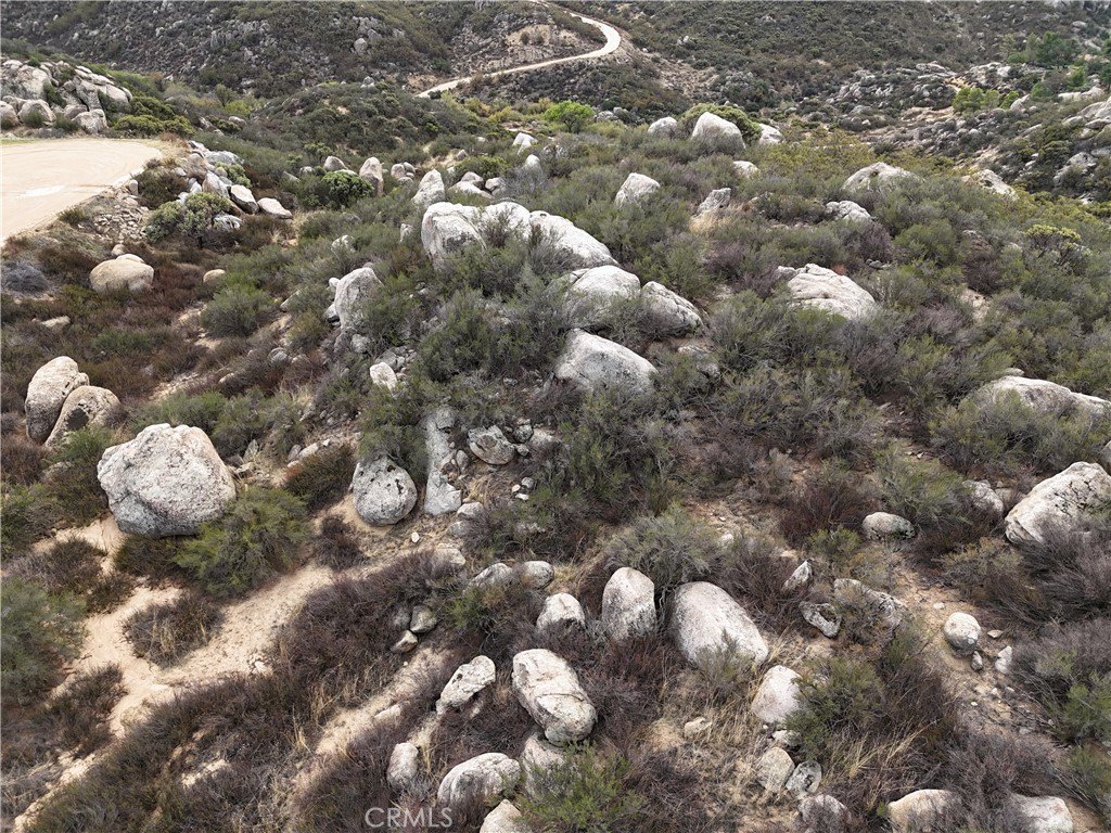 Picture 31