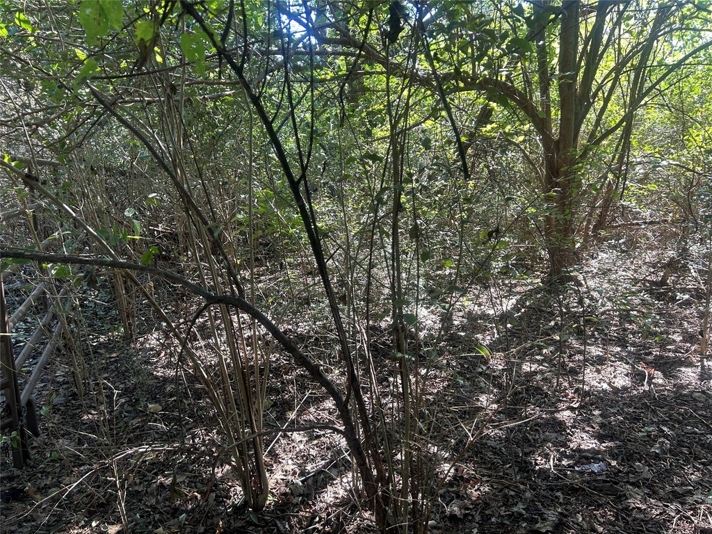 Picture 3