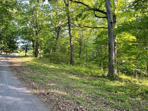 Land, Cadiz, KY