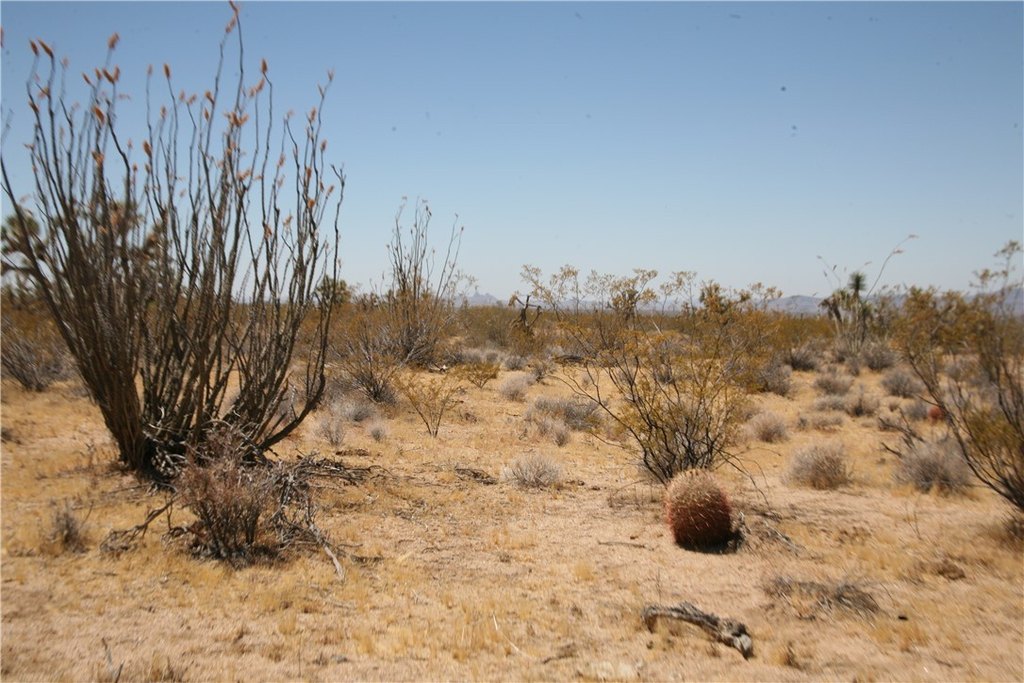 Picture 17