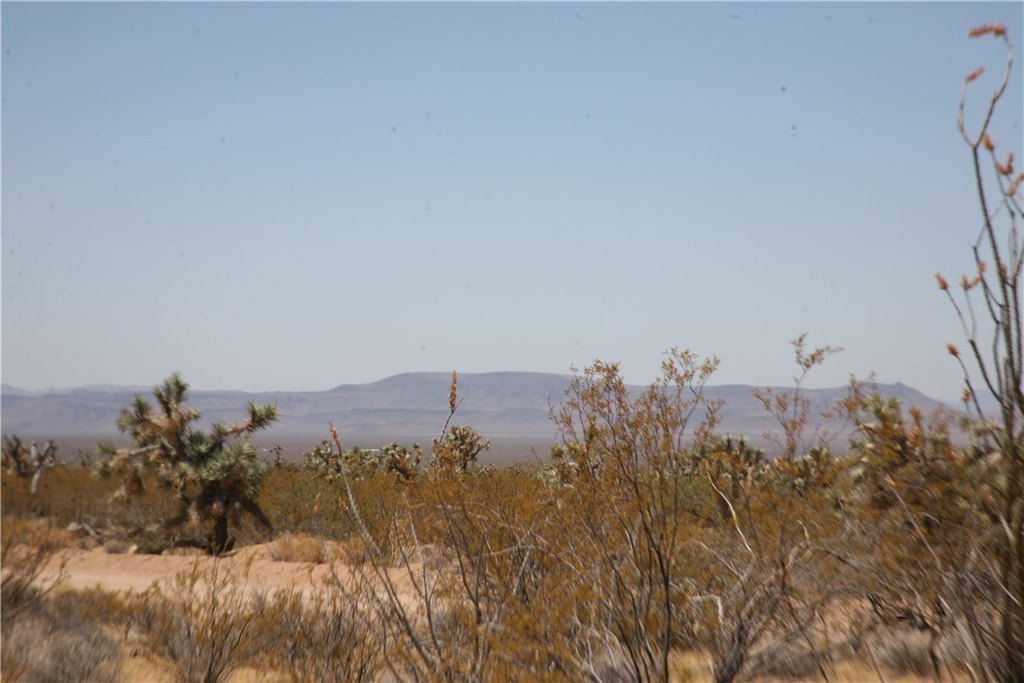 Picture 33