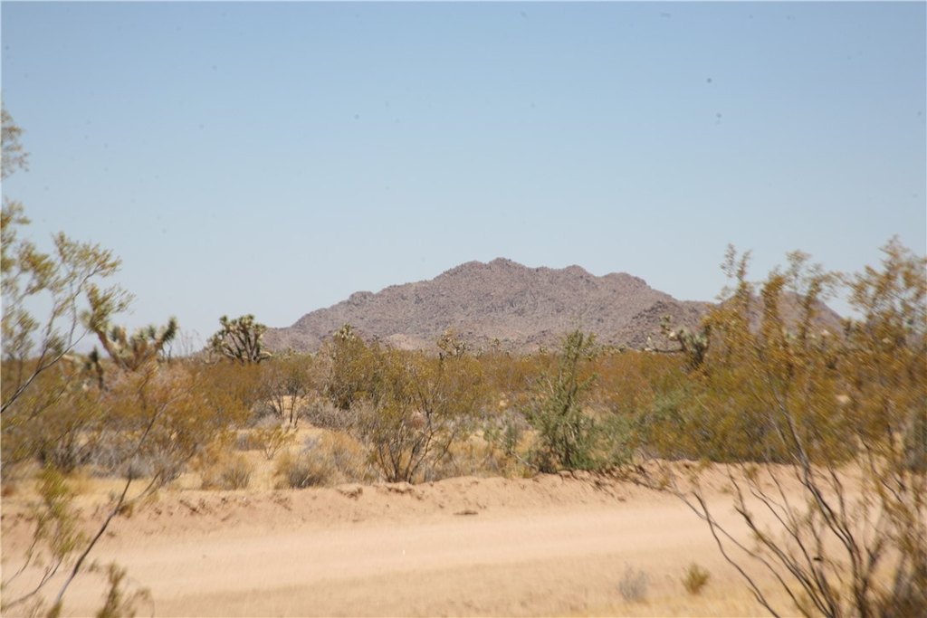 Picture 26
