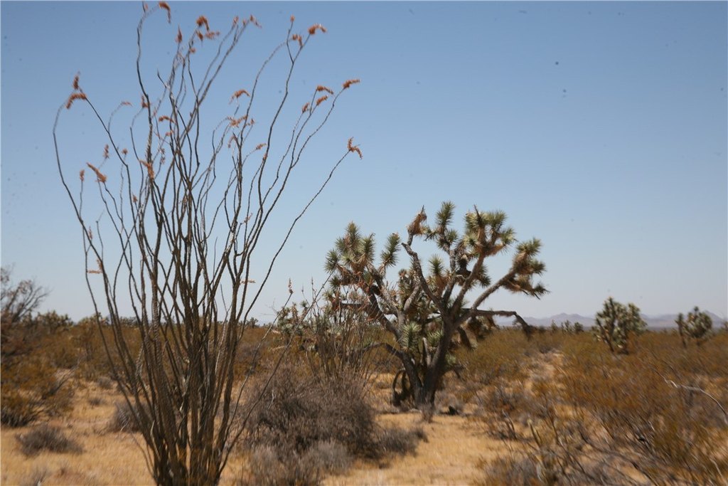 Picture 31