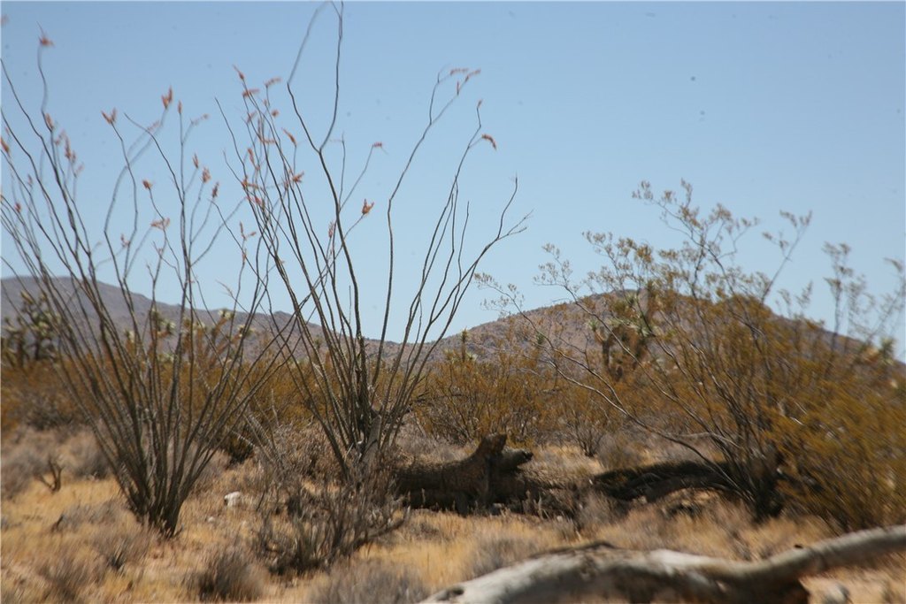Picture 5