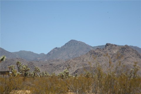 LAND - Yucca, AZ