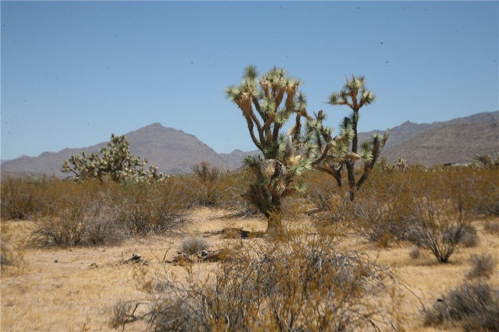 Picture 19