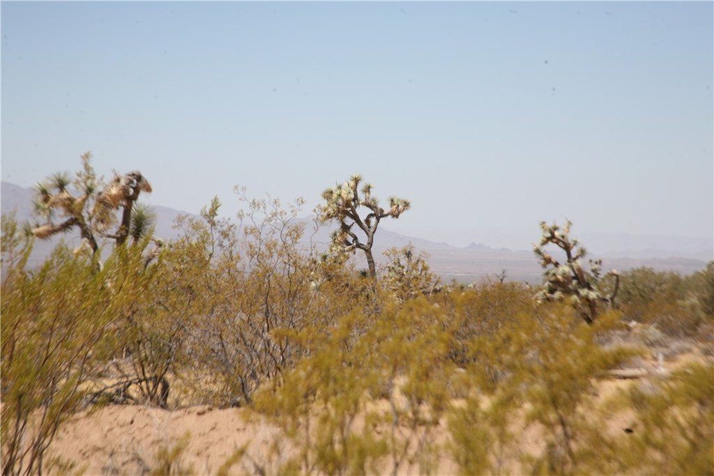 Picture 22