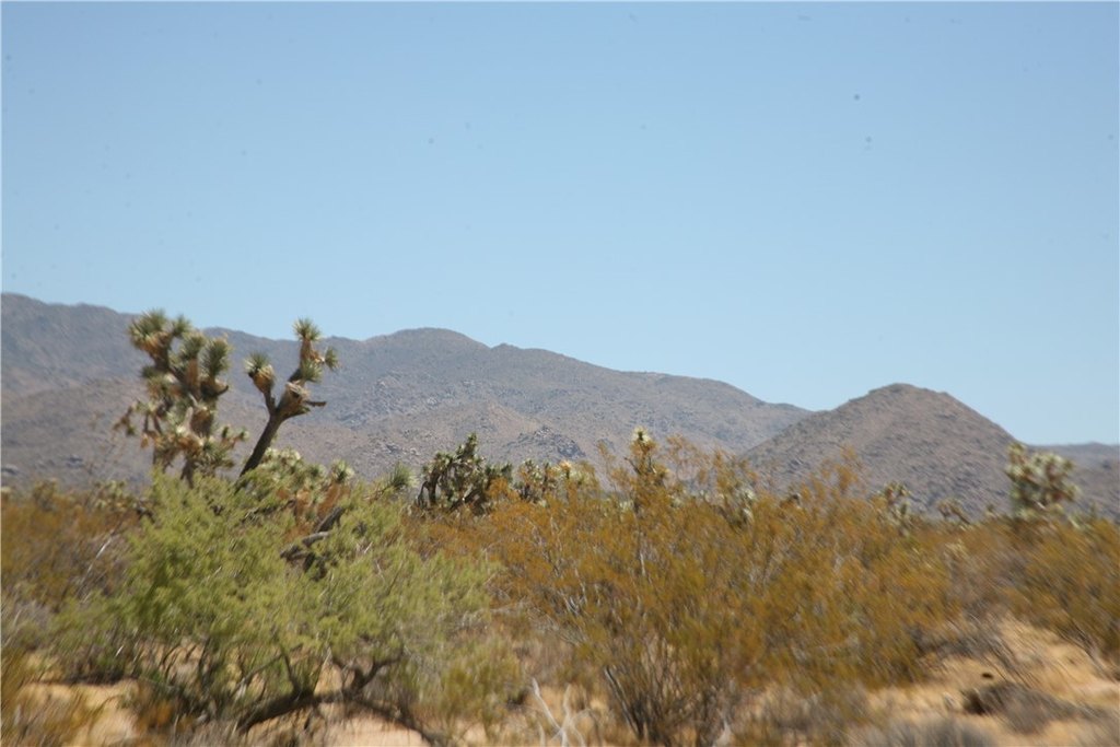 Picture 3
