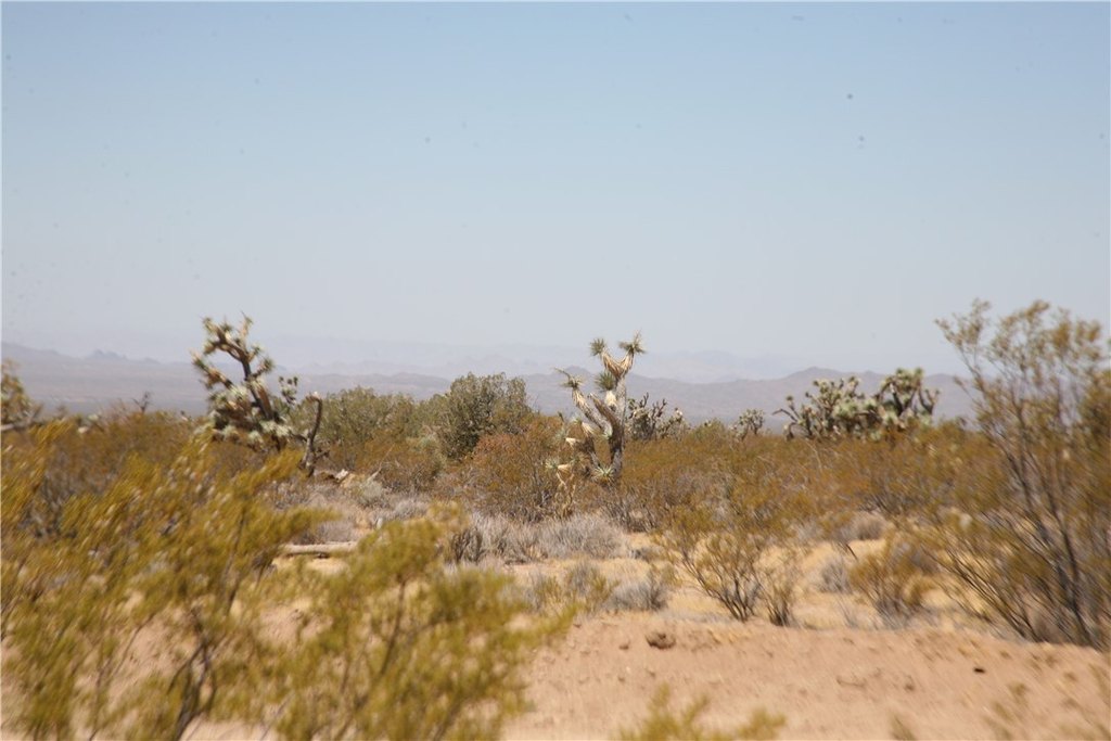 Picture 23