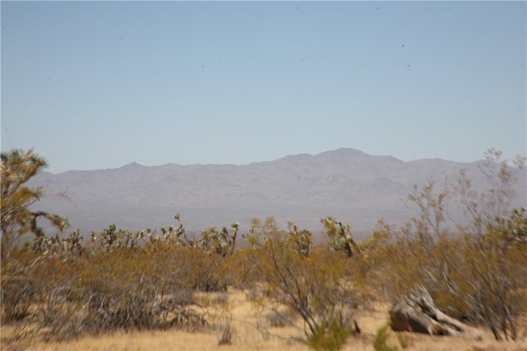 Picture 13