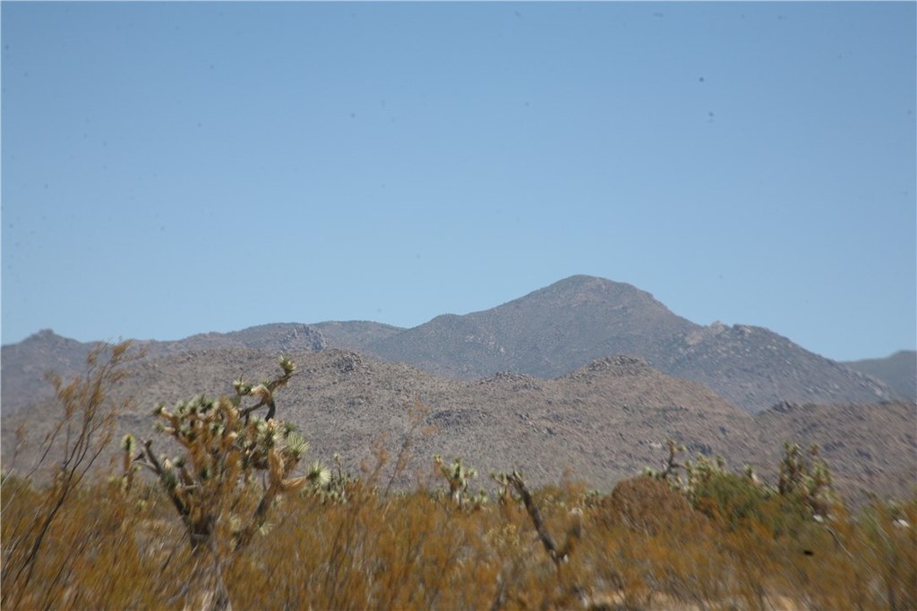 Picture 30