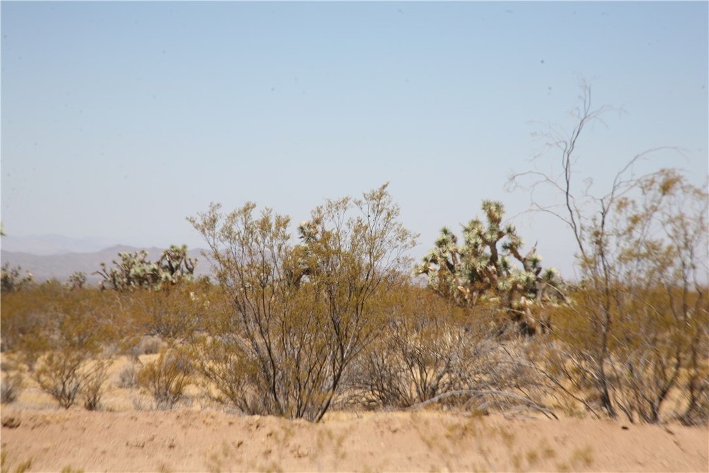 Picture 24