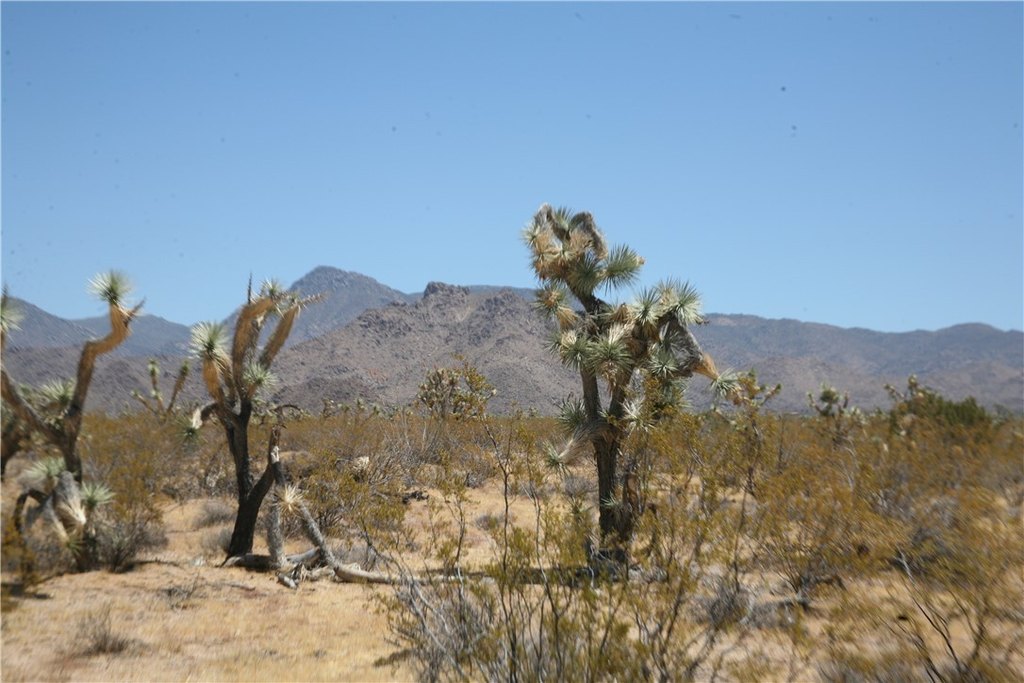 Picture 20