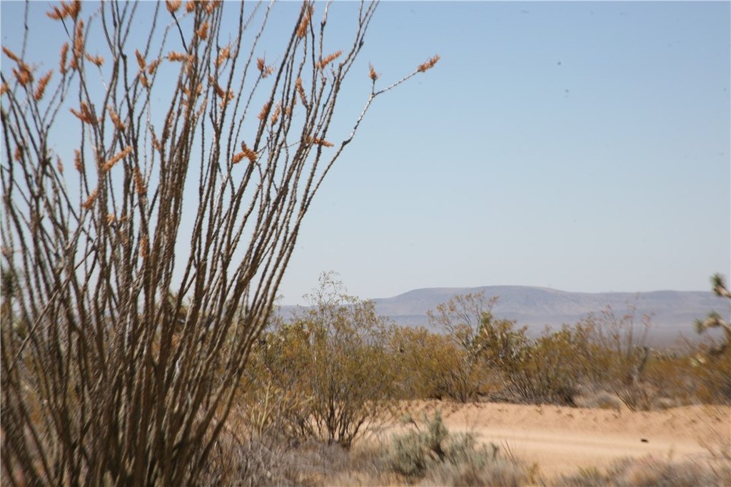 Picture 10