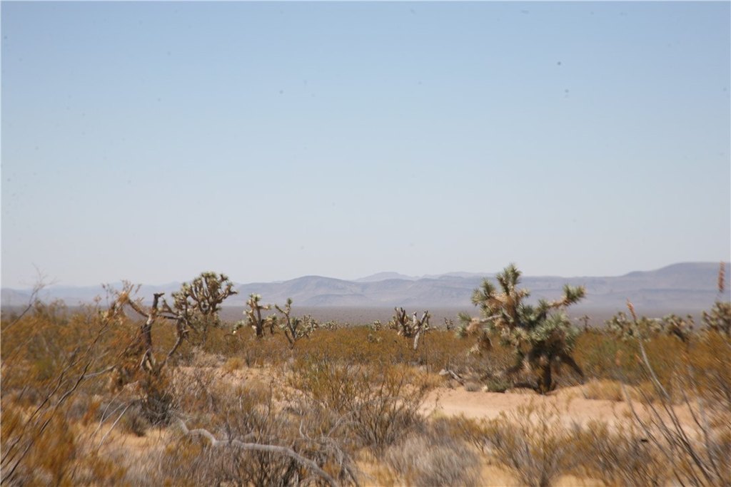 Picture 32