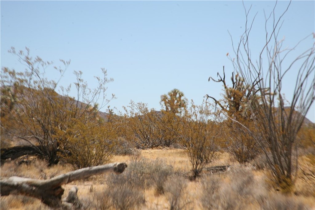 Picture 6