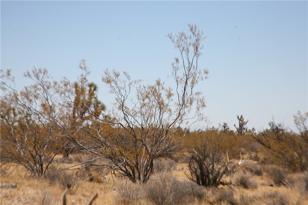 Picture 9