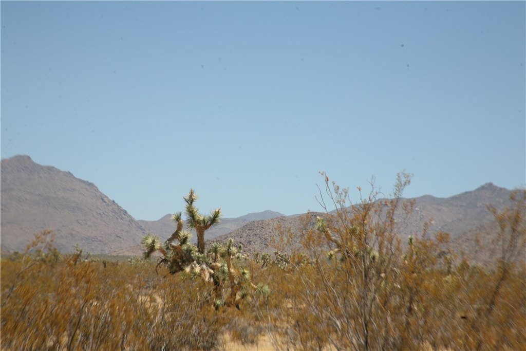 Picture 28
