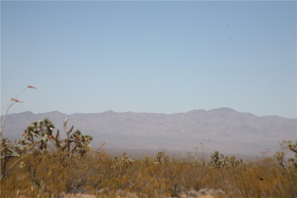 Picture 36
