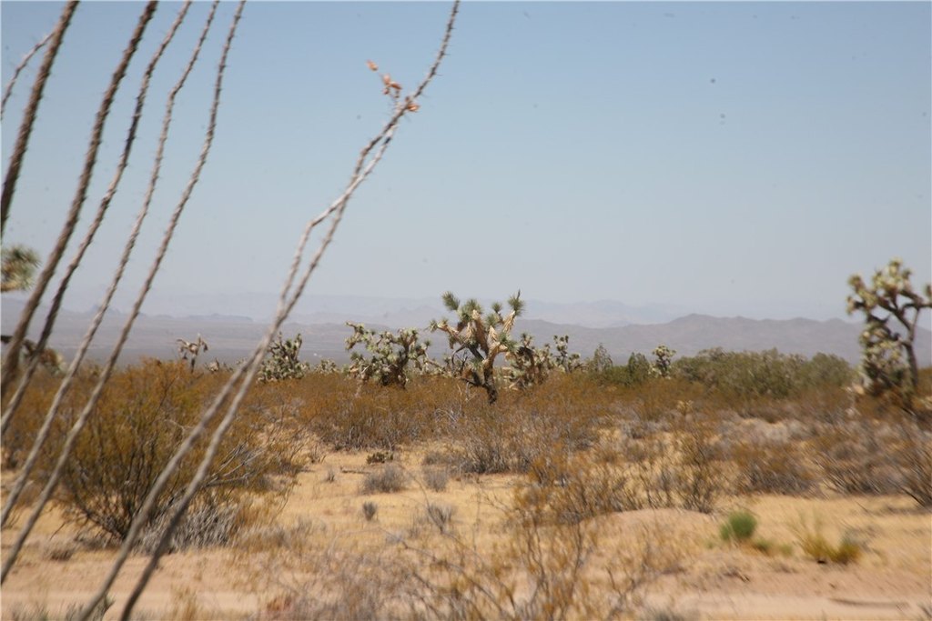 Picture 38