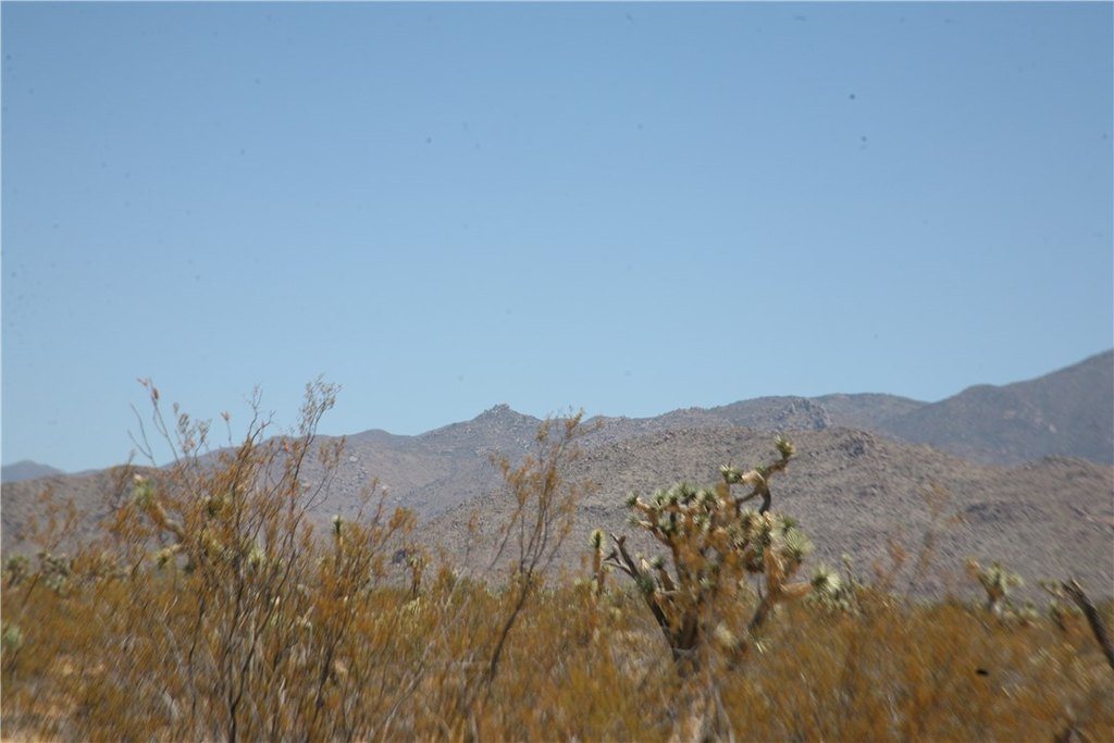 Picture 29