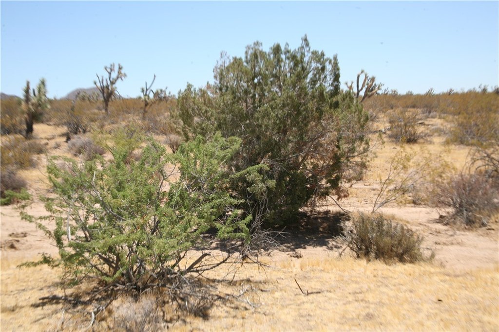 Picture 18