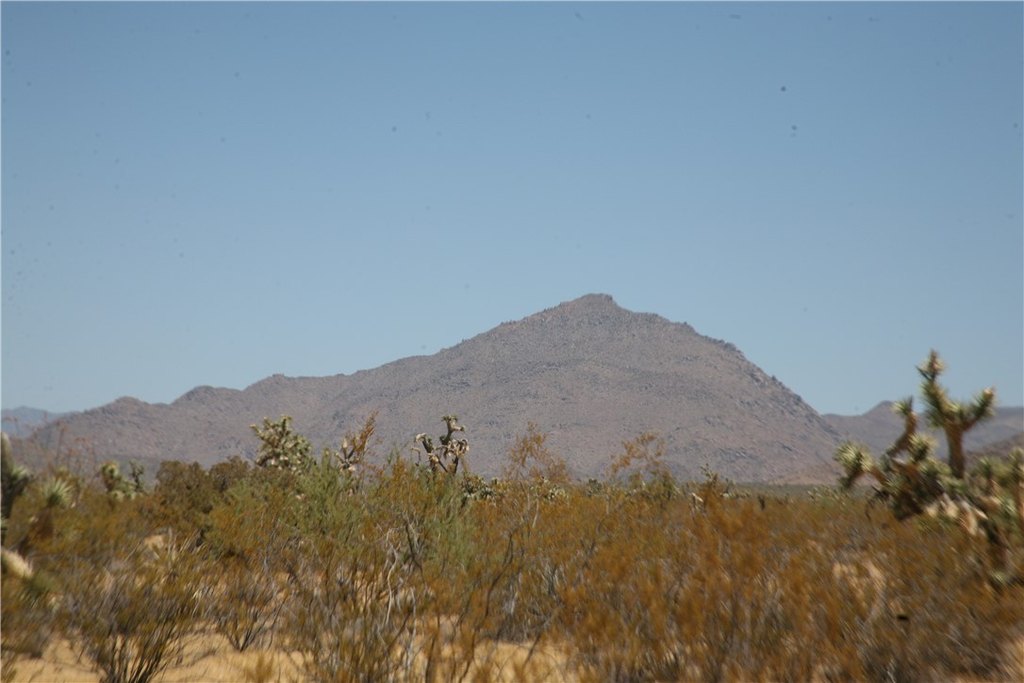 Picture 27