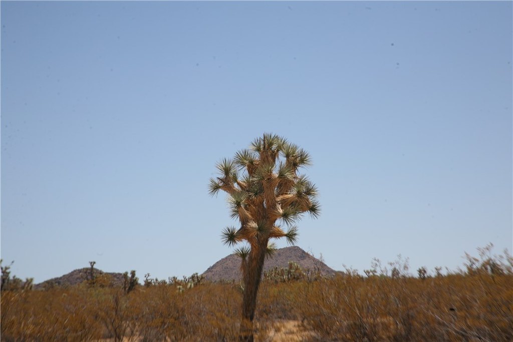 Picture 43