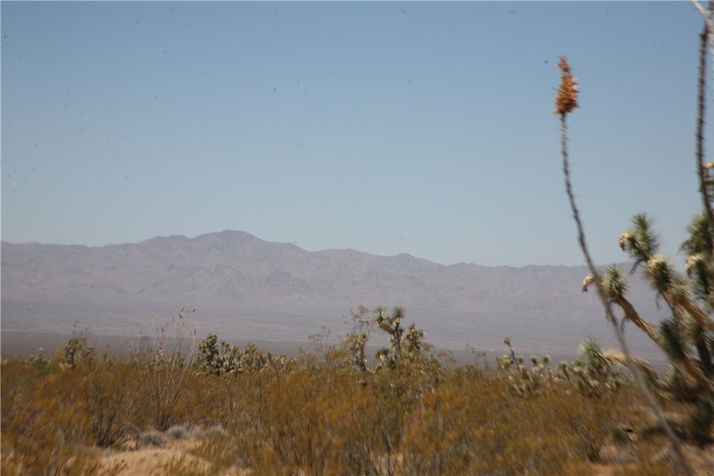 Picture 37