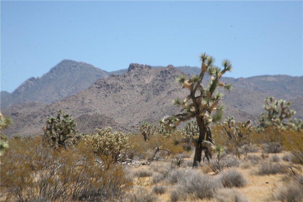 Picture 42